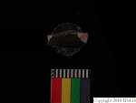 L_V20d4012 A16q4.3 R827 dM la f3